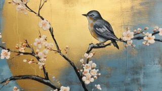 Élményfestés-Nyíregyháza