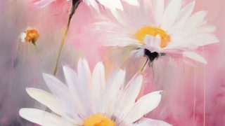 Élményfestés-Nyíregyháza